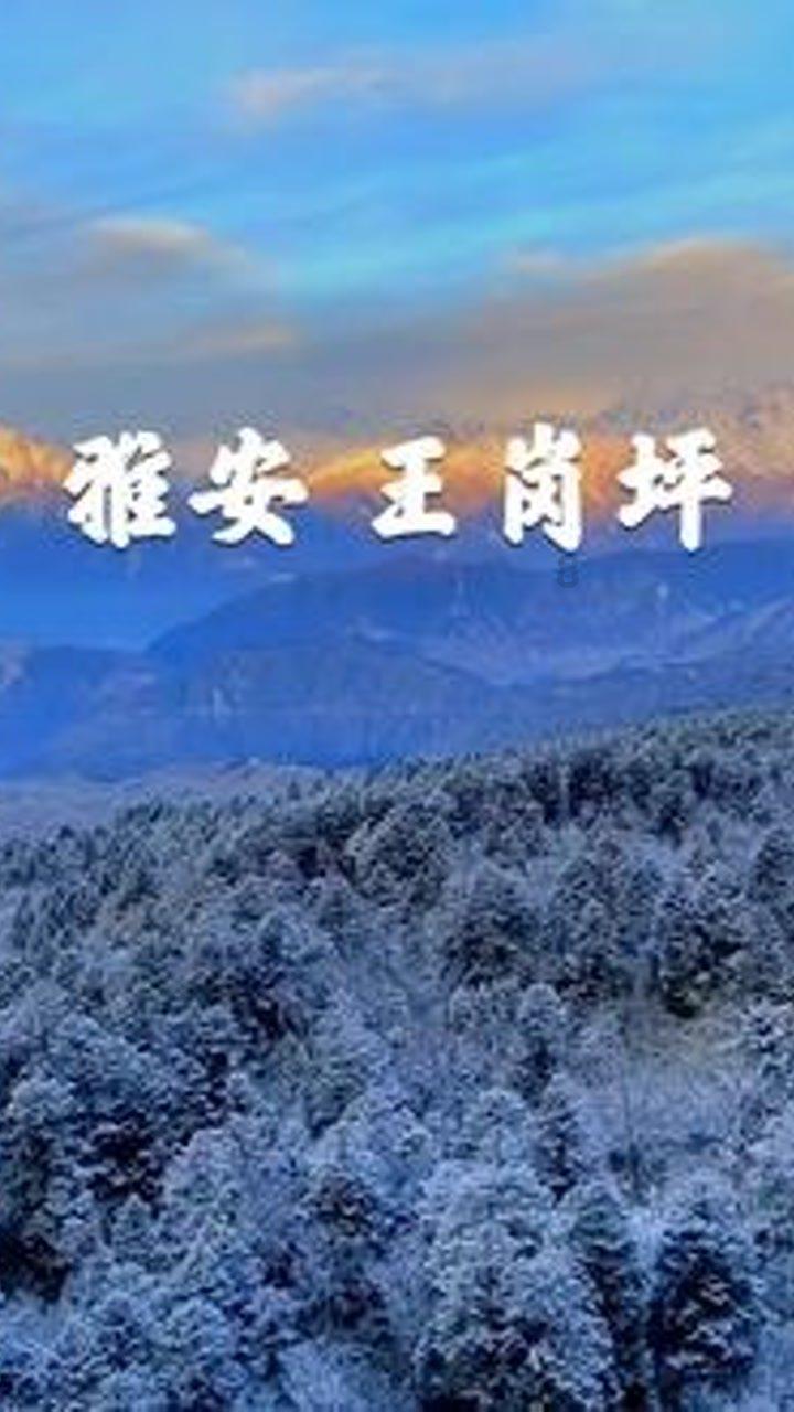 脑洞小老弟无实名认证