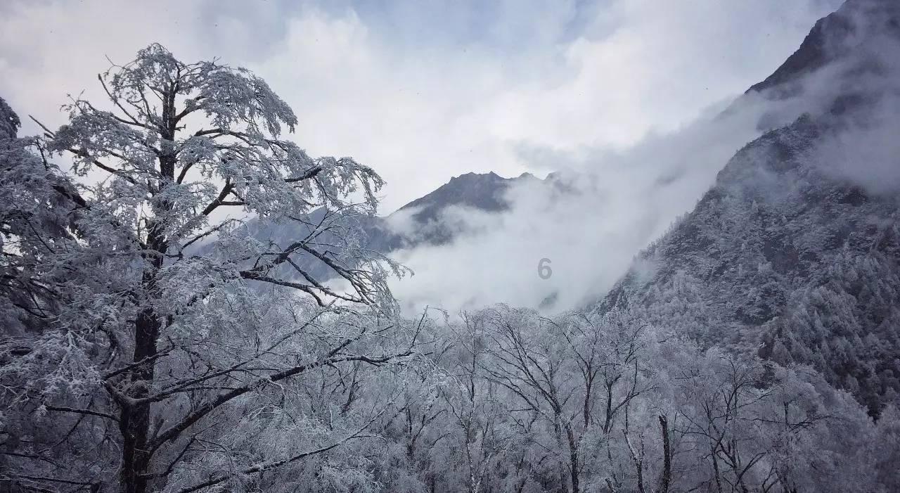 沪江开心词场